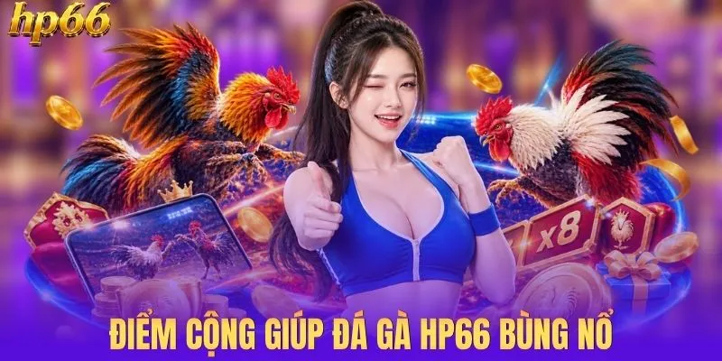 Điểm cộng giúp đá gà HP66 nhanh chóng bùng nổ